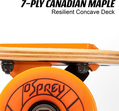 Osprey Twin Tip Cruising Longboard Skateboard -Nexus 31 " for Adult/Kid Girl/Boy